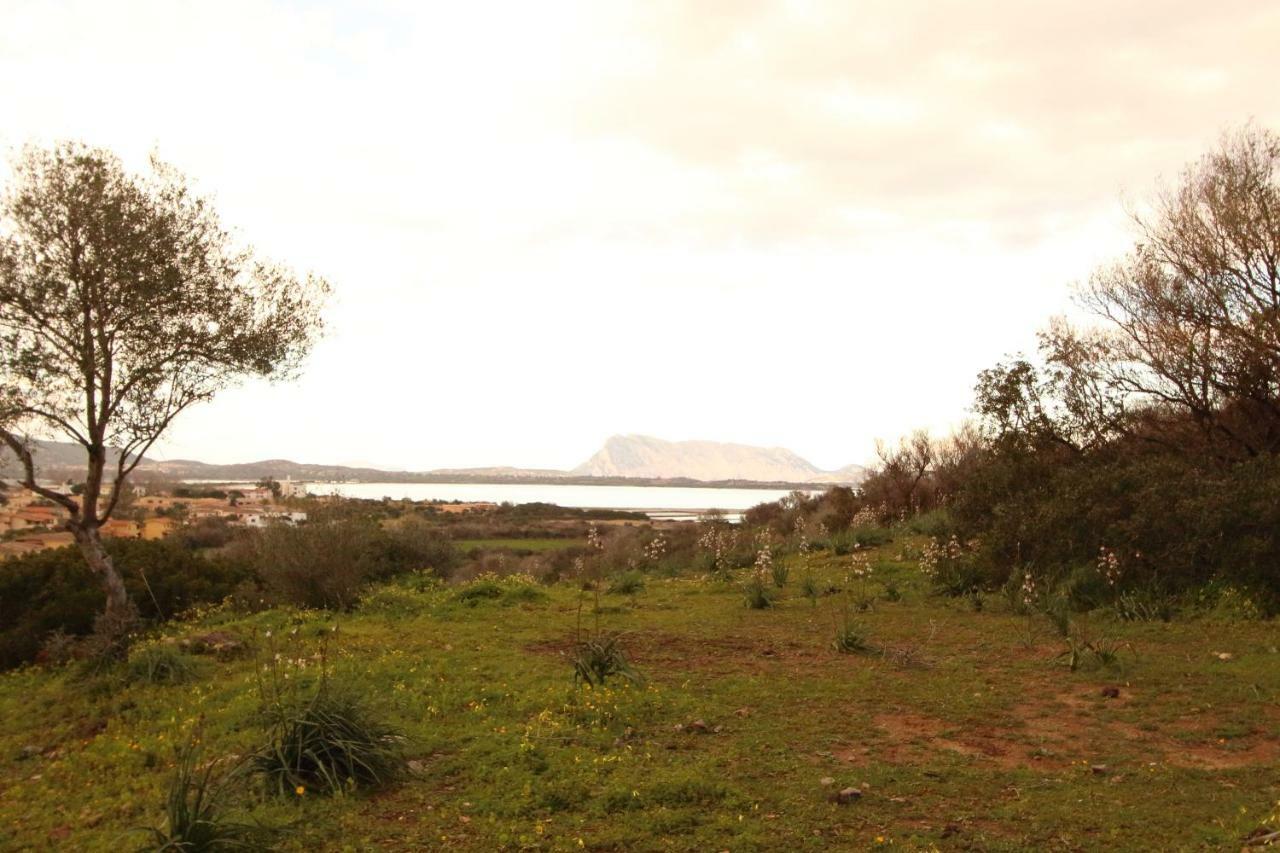 Residence La Funtana San Teodoro  Exterior foto