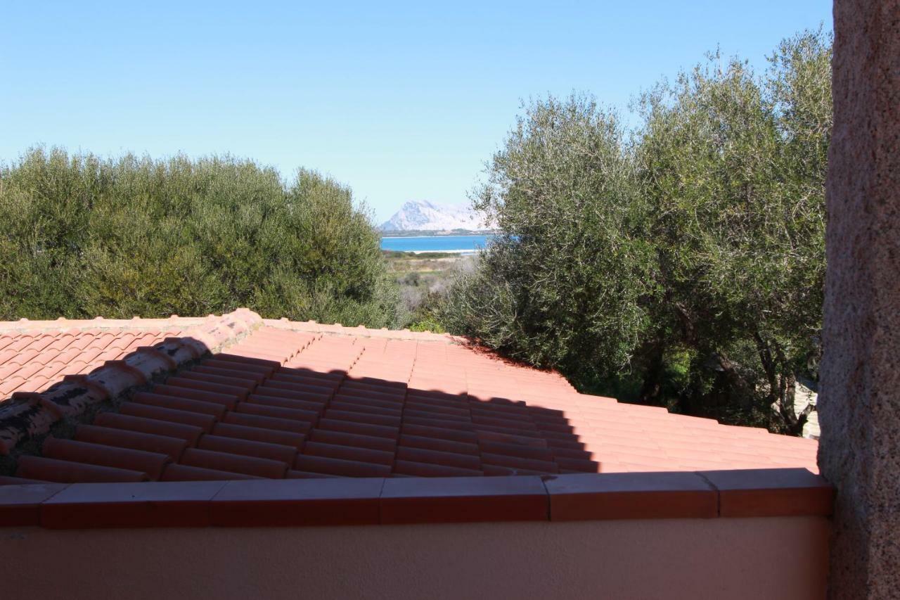 Residence La Funtana San Teodoro  Exterior foto
